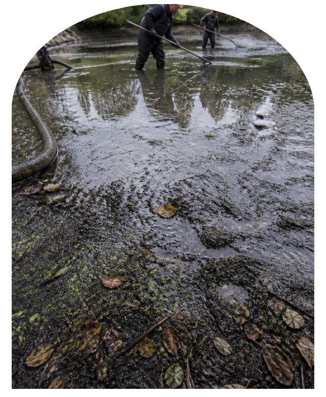 Очистка пруда в Костроме от ила мусора и водорослей с вывозом